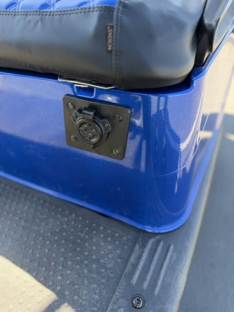 Custom 2009 EZ-GO RXV 4-Passenger Blue Golf Cart