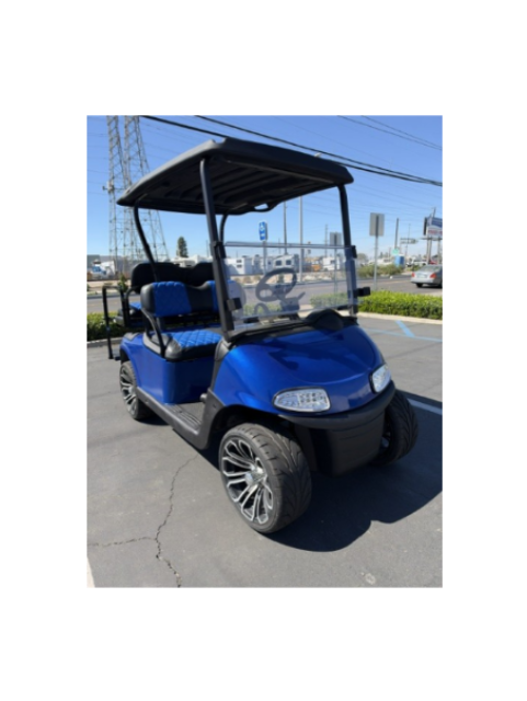 Custom 2009 EZ-GO RXV 4-Passenger Blue Golf Cart